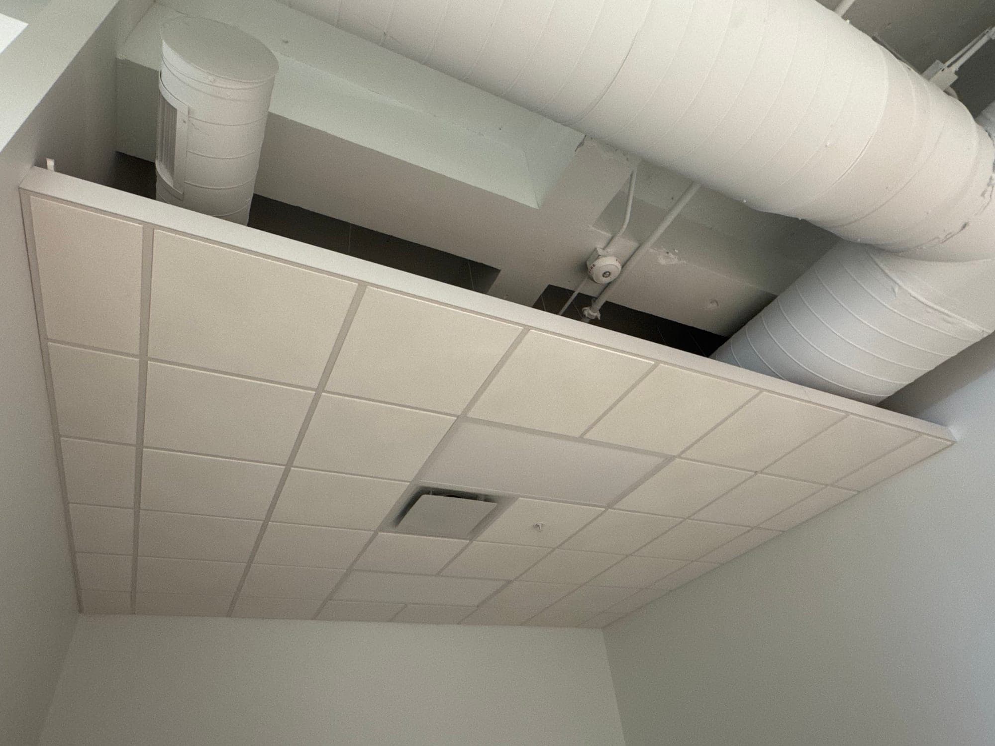 Suspended acoustic grid — Commercial fit-out